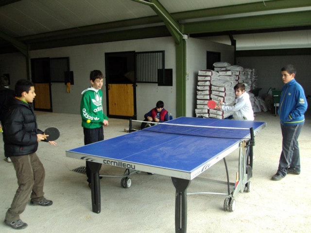 Jugando a ping-pong