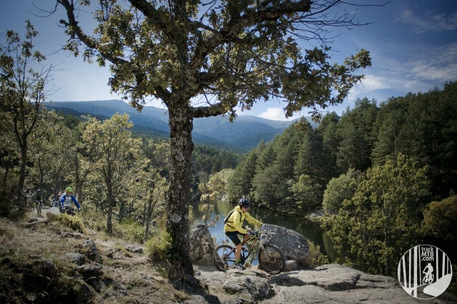  洛索亚山谷中的安戈斯图拉溪流向拉斯卡弗里亚。 