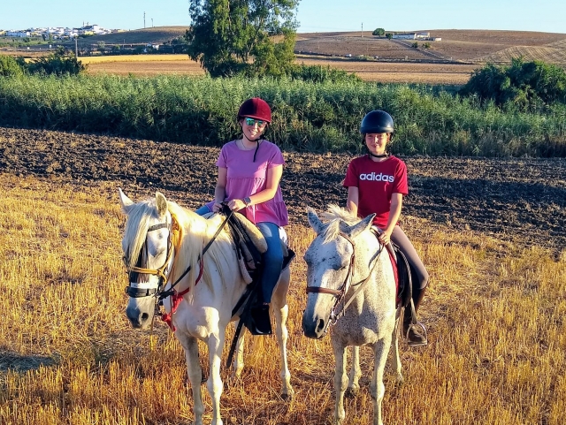  Amis des chevaux 
