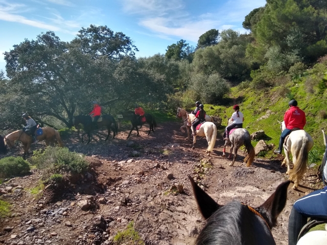  Sur un itinéraire avec les chevaux 