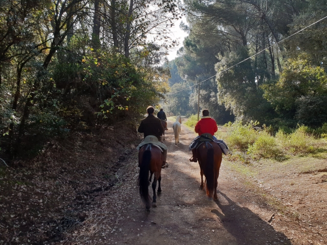  Randonnée à cheval à travers les champs