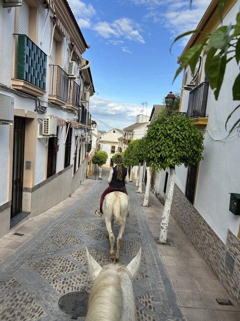 Opinión de Angelika sobre Ruta a caballo por Vega del Guadalquivir, 2 horas