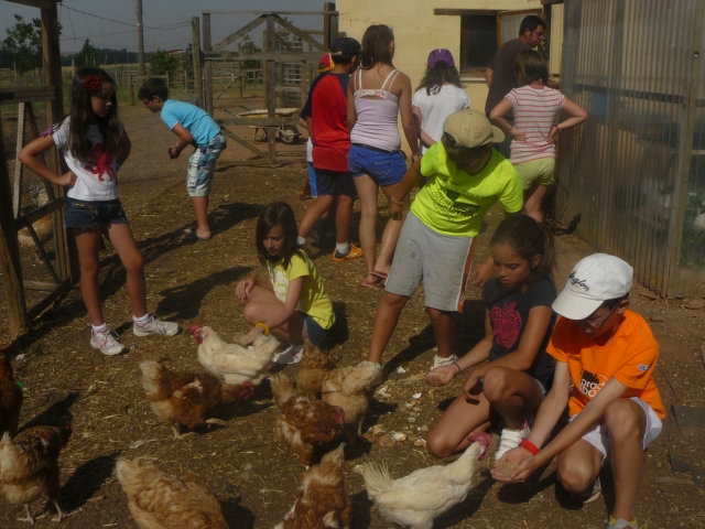 En contacto con animales