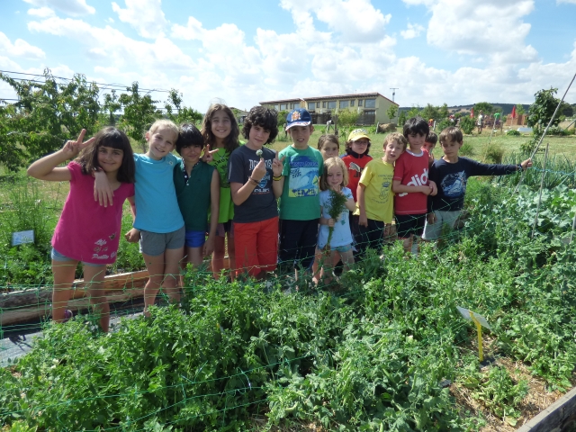 Talles de huerta