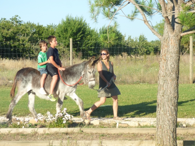 Paseo en burro