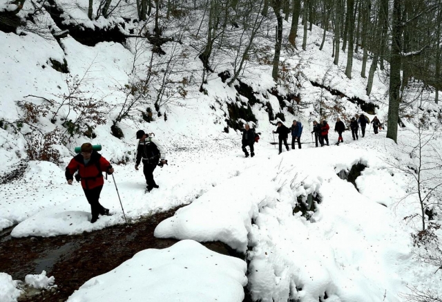  Arriving at the stream with snowshoes 
