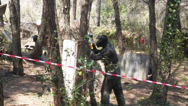 Disparando desde el arbol