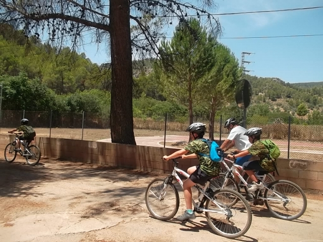  Percorsi guidati in mountain bike 