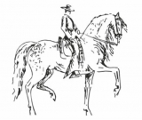 Hípica Dehesa del Pardo