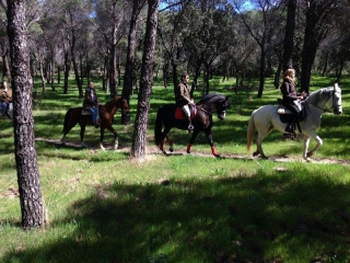 Hípica Dehesa del Pardo