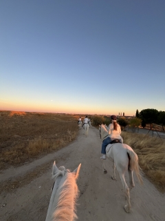 res_o-65907-rutas-a-caballo_de_macarena-de-ojeda_img-1849_17597292877582.jpeg