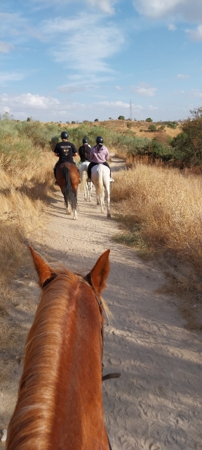 Opinión de Luminita sobre Ruta caballo grupal Peñagrande y Dehesa Quemada 1h