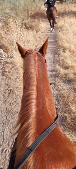 Review of Sara about Group Horse Route Peñagrande and Dehesa burned 1h