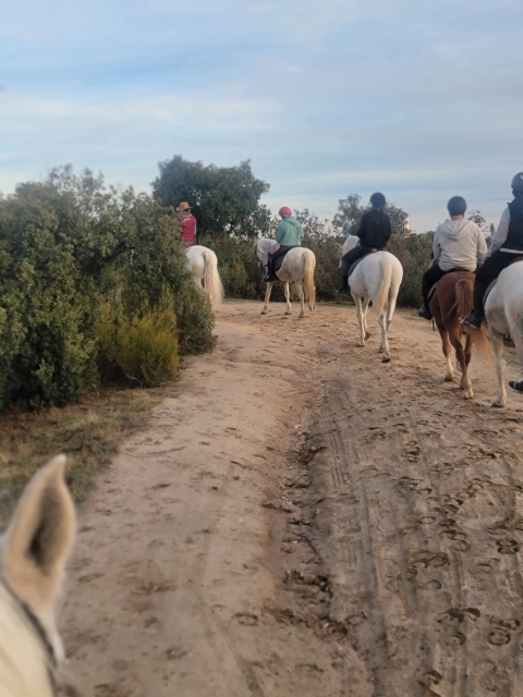 Opinión de Jessica sobre Cabalgamarra grupal por el Monte de El Pardo, 2h