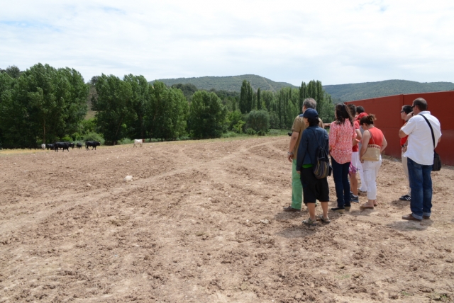  A fazenda