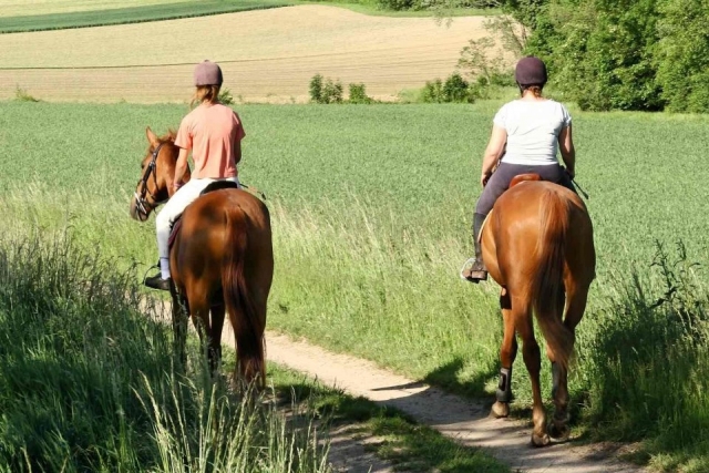  Deux personnes à cheval se promenant à travers les forêts du parc naturel d'Urkiola 