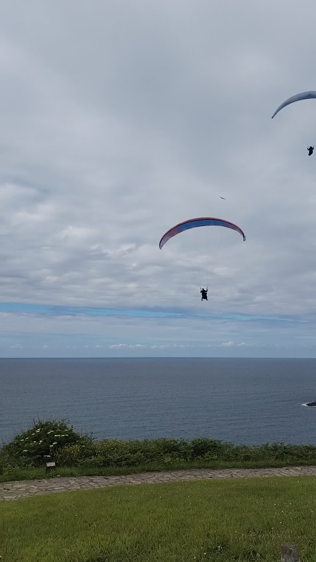 res_o-66815-parapente_de_laura-dago-rodriguez_17790516807371.mp4