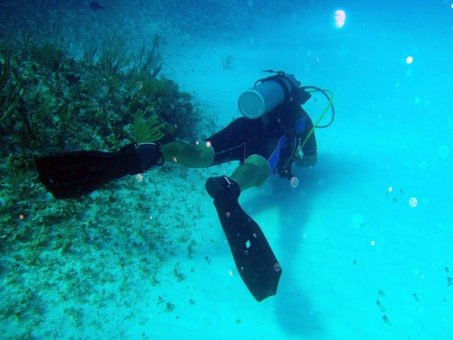 Examinando el fondo marino