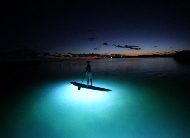 tablas de sup con luz