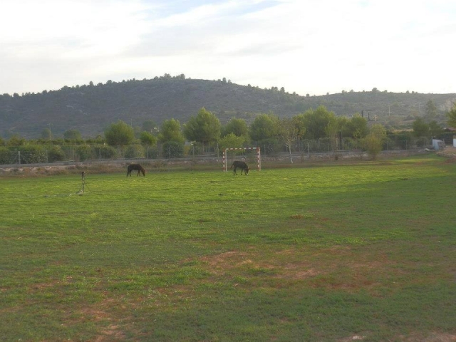 Poni Campamento