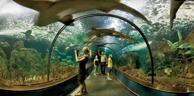 aquarium.jpg