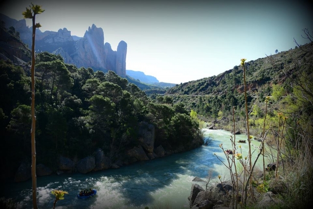 Adentrale en el río Gallego