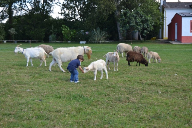 Con los mas pequeños en La Granja