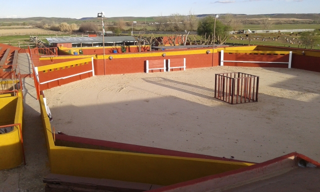  Piazza a tentoni per capeas 