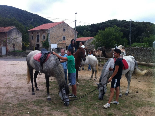  Percorsi a cavallo 