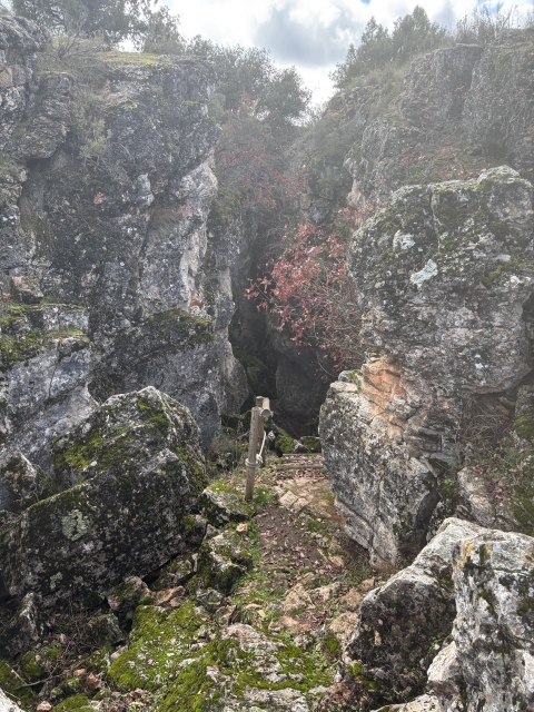 意见 Estefanía 关于 在克夫拉达德尔托罗鲁伊德拉 (Ruidera) 成人徒步旅行