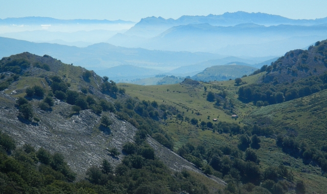 gorbea portada.JPG