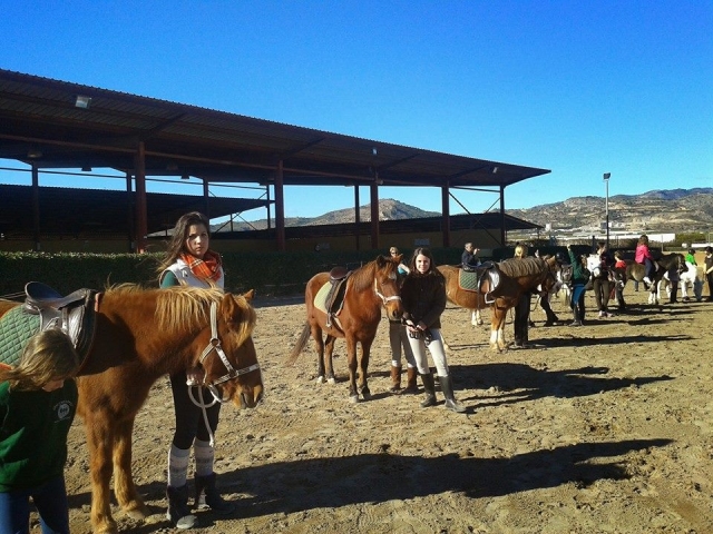  prontos com seus cavalos 