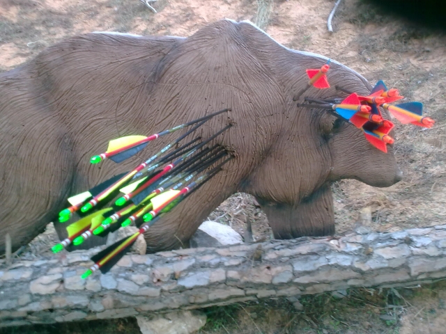  ours cible 3D avec flèches 