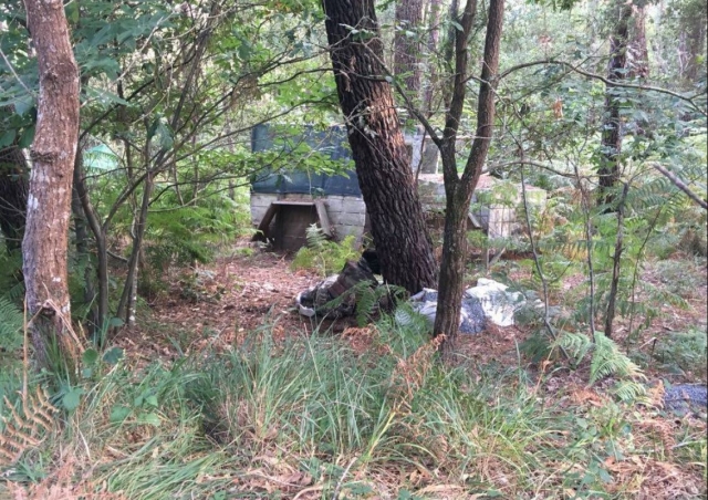  Sdraiato alla base dell'albero 