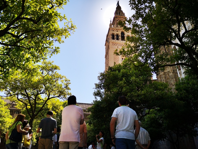  Alla scoperta della Siviglia monumentale 
