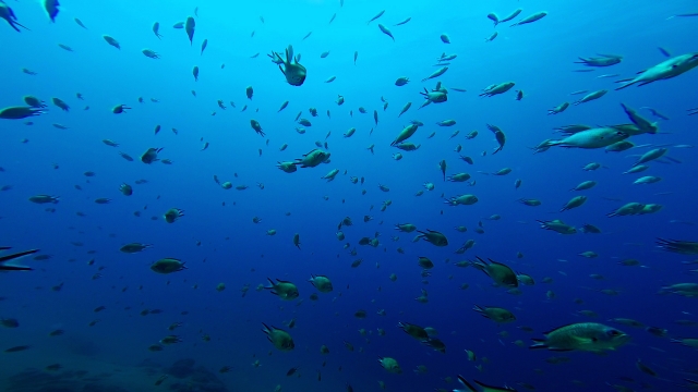  Tauchen mit Torpedos auf Lanzarote 