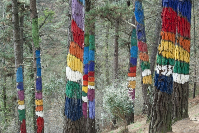 bosque de oma