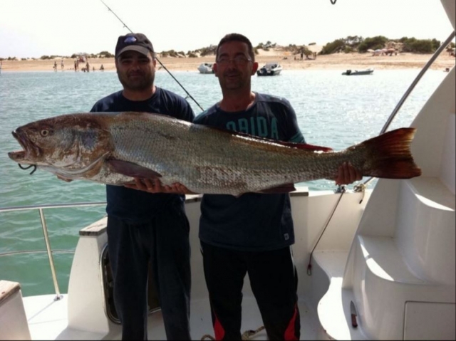 Disfruta de una jornada de pesca en Sancti Petri