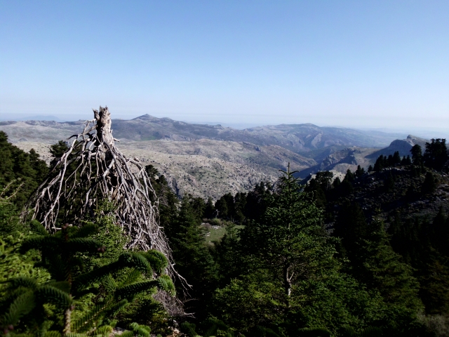 view of the Serrania de Ronda from the heights.JPG 