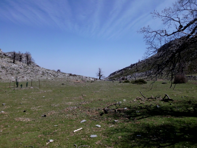  flat grass terrain on a sunny day.JPG 