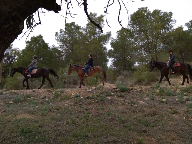 Montando a caballo por Vilamarxant