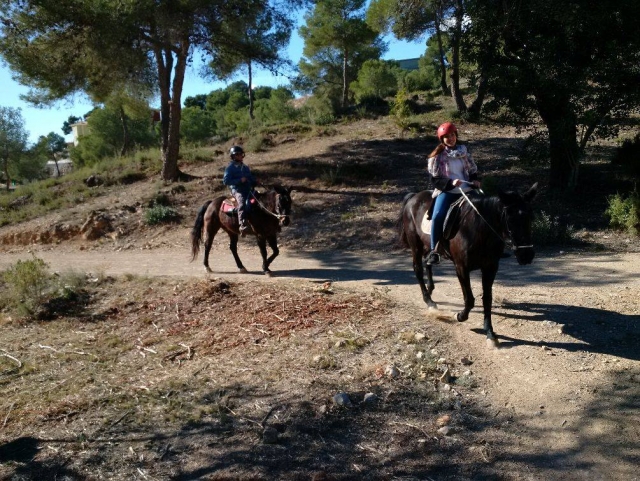 Paseo a caballo por el bosque valenciano