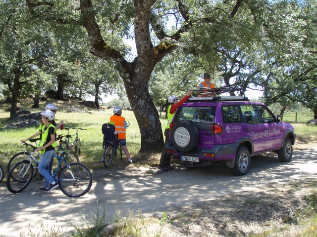  BTT mit Begleitfahrzeug 