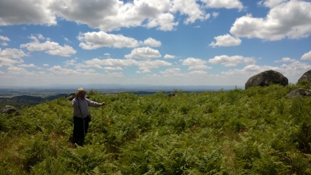 Wandern, Landschaften entdecken 