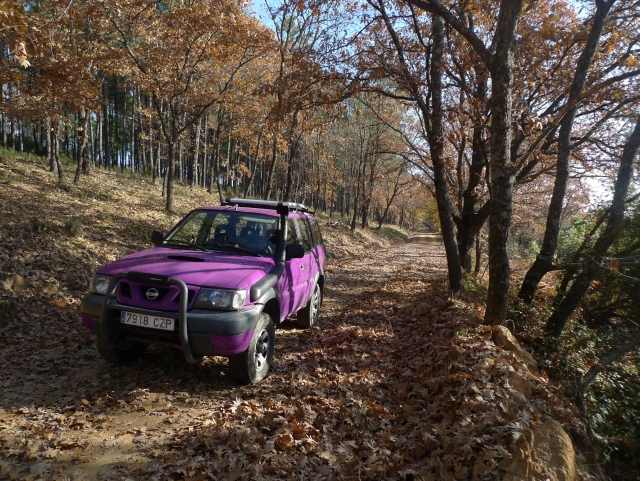 4x4-Route, Kurven und Wendungen der Region 