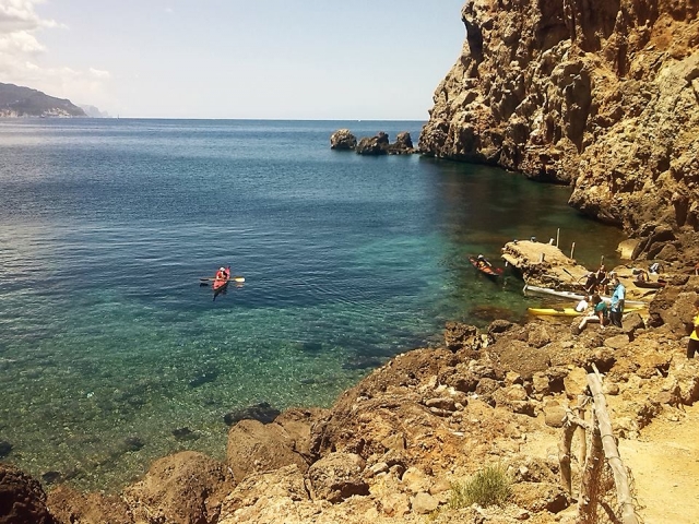 vista aerea de varias personas navegando en kayak