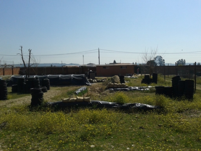  campo pieno di borse nere.jpg 