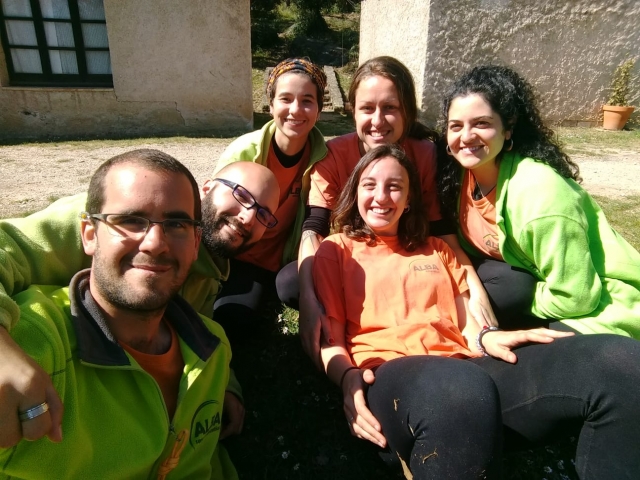 Los monitores 