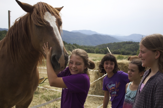 Cuidando a los caballos