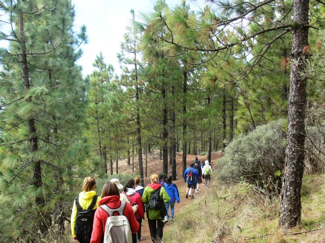 personas caminando por una ruta de senderismo 
